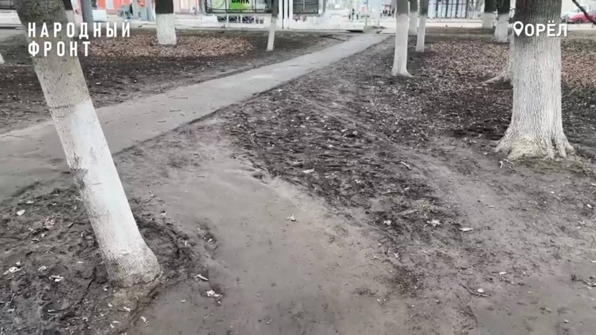 Фото: Народный фронт Орловской области