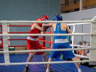    бокс Юлия Кузнецова