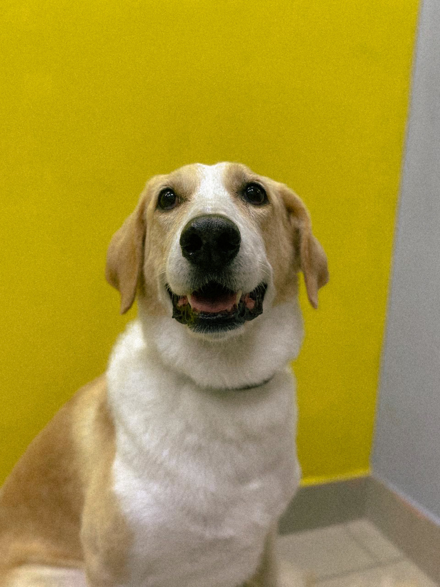 Это уже после всех процедур, довольная))