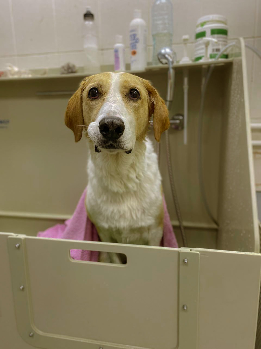 С этого момента прошло уже почти семь лет, мне кажется, она здесь такой маленькой и хрупкой(