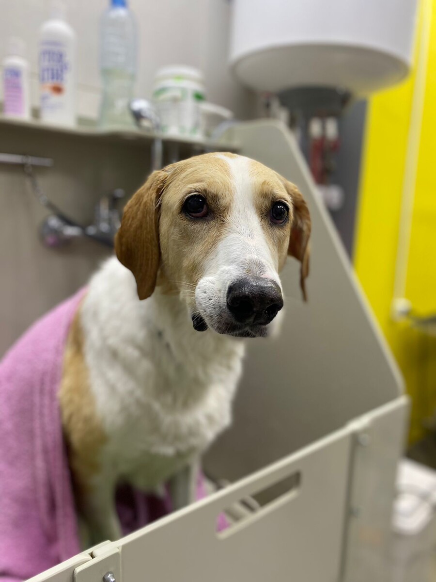 С этого момента прошло уже почти семь лет, мне кажется, она здесь такой маленькой и хрупкой(