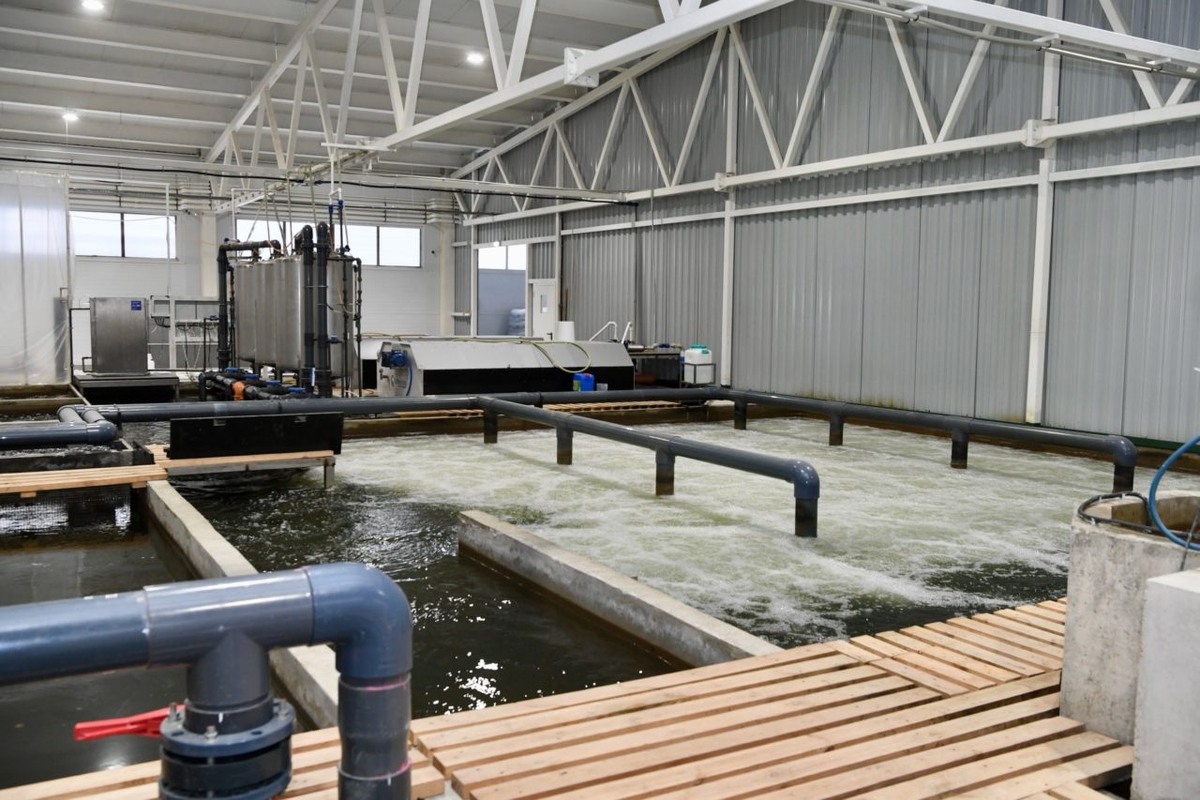    Фото: "Республика"/ Оксана Кудряшова