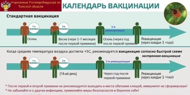    Фото: роспотребнадзор Томской области
