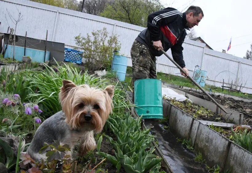   © РИА Новости. Виталий Аньков