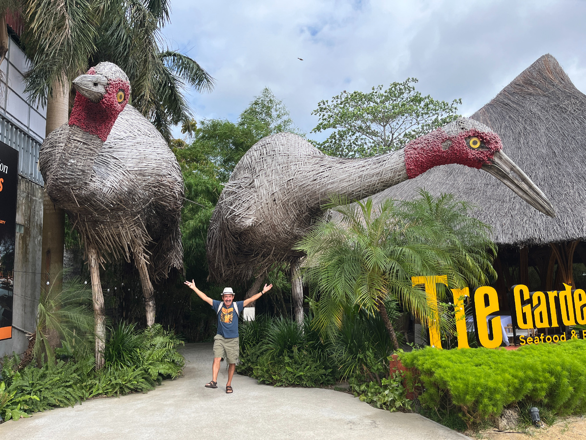 Увидели этих куриц, чуть правее Coffee Shop "Akada"