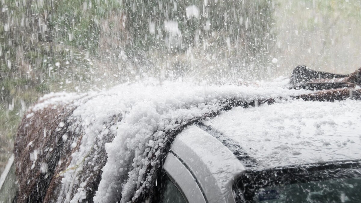    Фото: Ben Romalis/Shutterstock/Fotodom