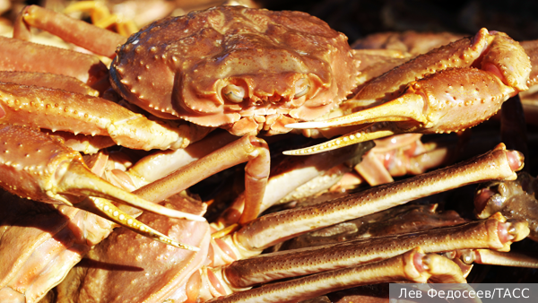     Фото: Лев Федосеев/ТАСС   
 Текст: Александра Юдина