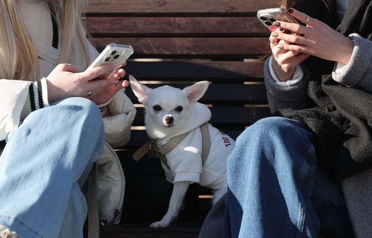    Алексей Белкин/NEWS.ru