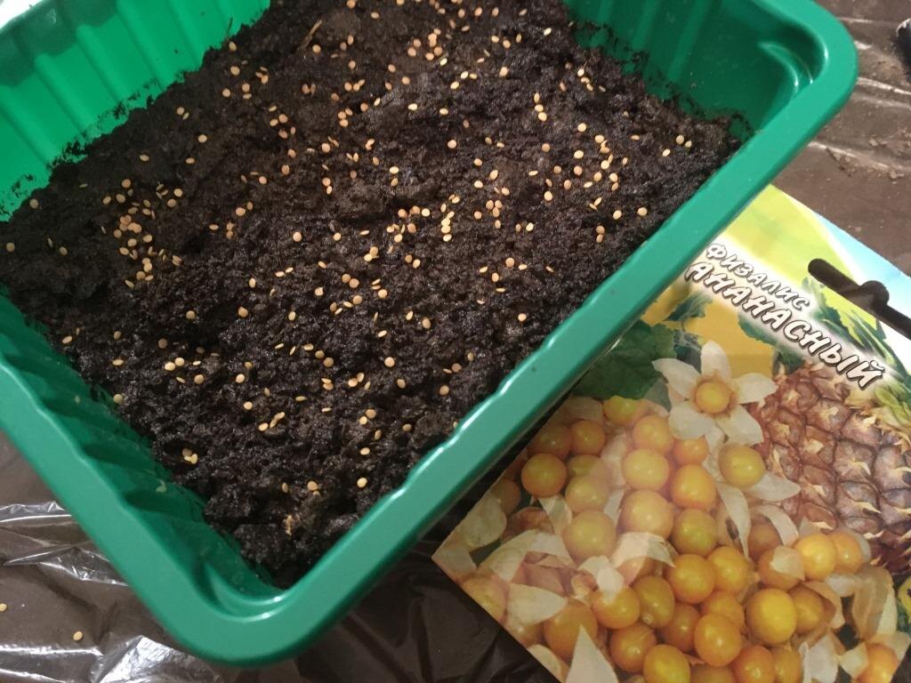 Семена свои — можно сеять щедро, не жалея…