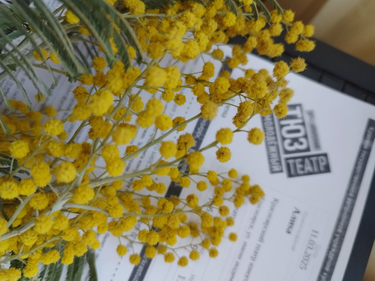 Это ответ на вопрос, почему я так долго творю. Постоянно что-то отвлекает. На этой неделе в ТЮЗ ходила, на любимую "Алису". Уже и не скажу, в который раз: пальцев на руках точно не хватит.