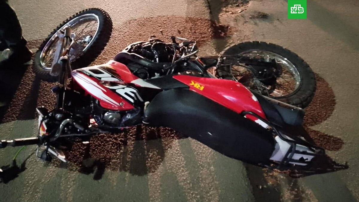    Фото: mvd36 / t.me