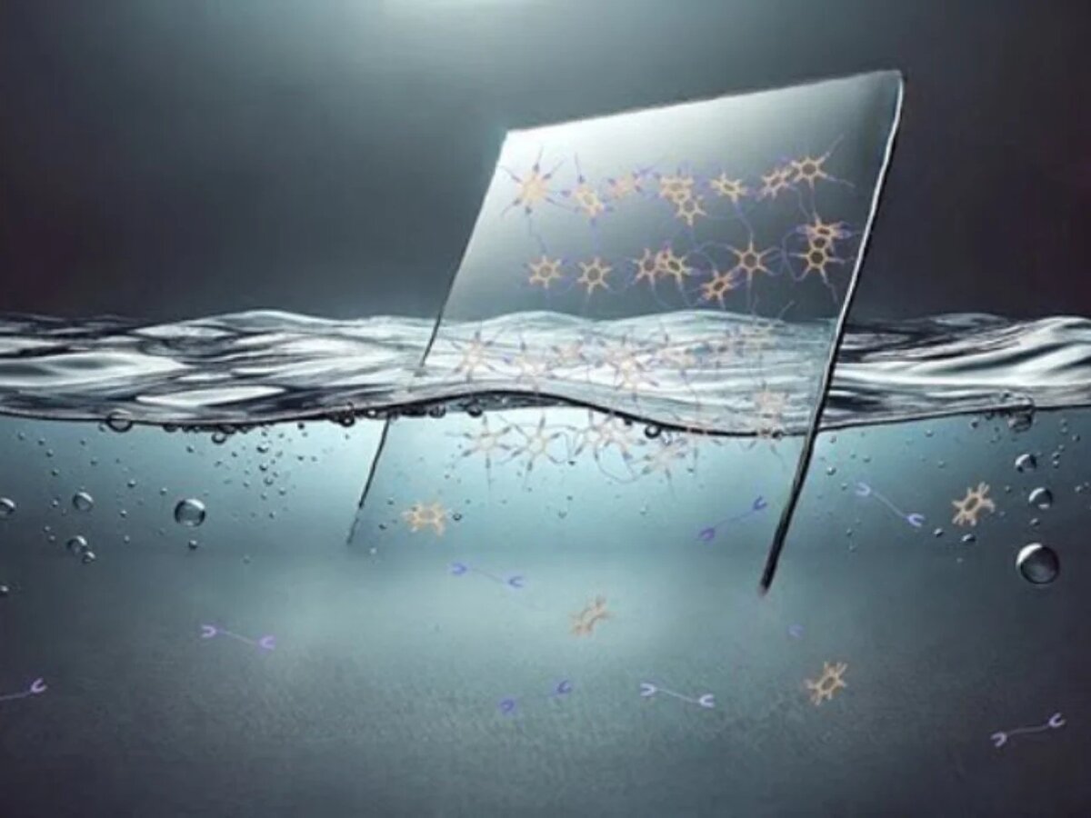 Фото: yankodesign