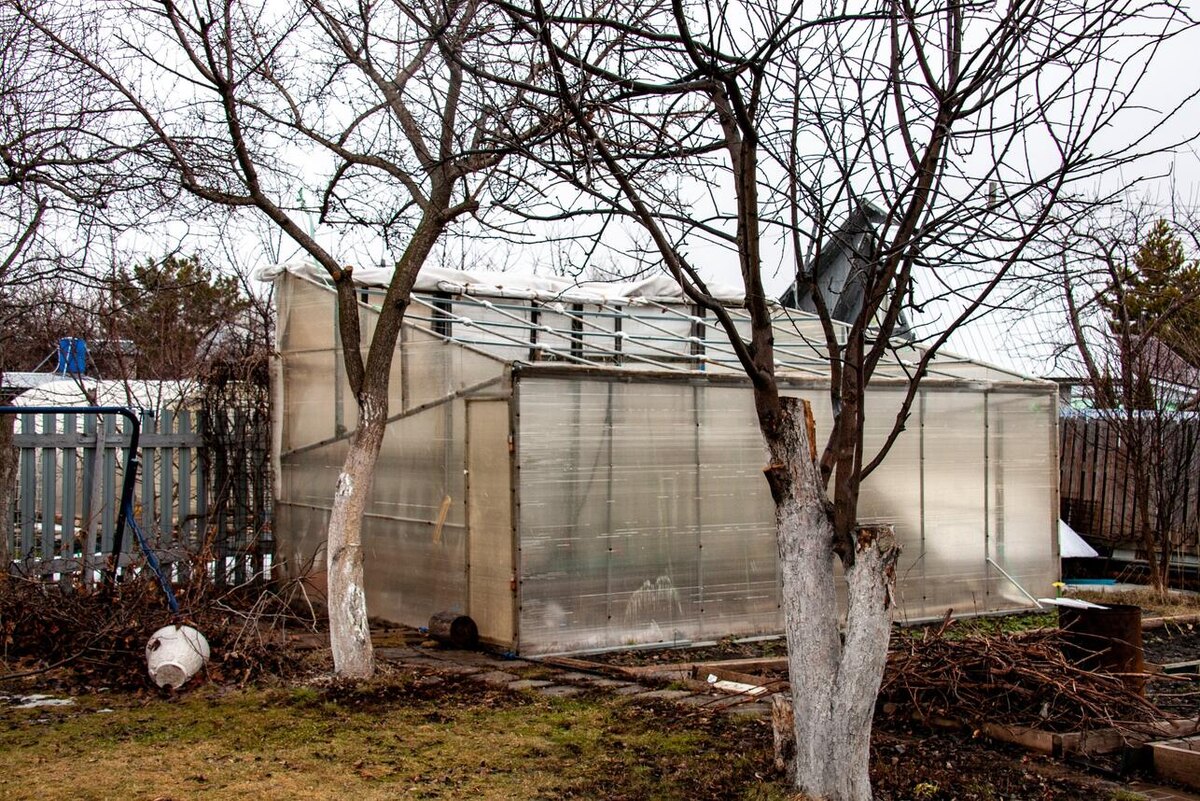     Svetlana Vozmilova/globallookpress.ru