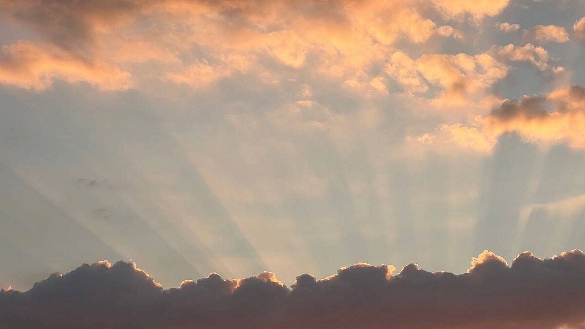    Фото: телеканал «Краснодар»