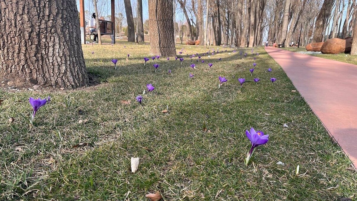    Фото: телеканал «Краснодар»