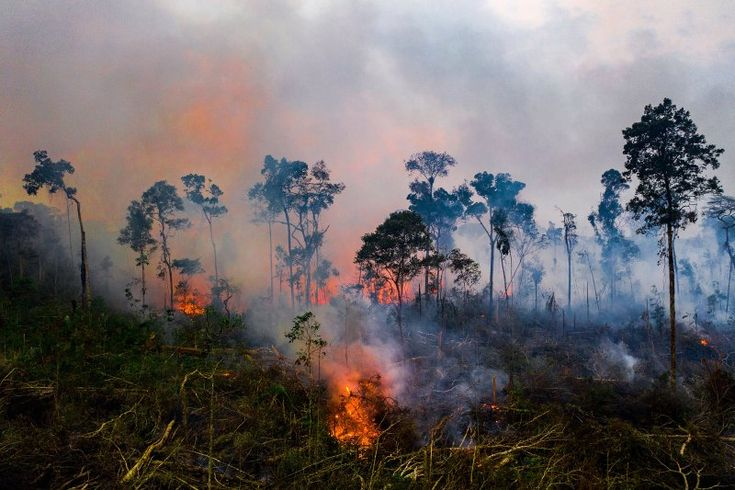 Как часто вы думаете о климатических проблемах?