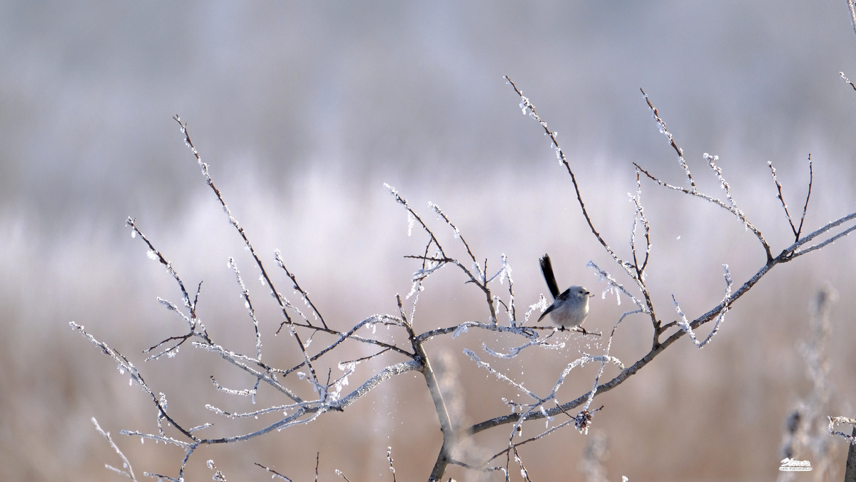 Фото Софьи Устюговой