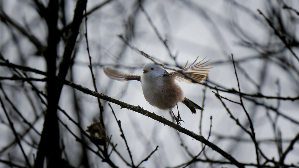Швеция, фото Henrik