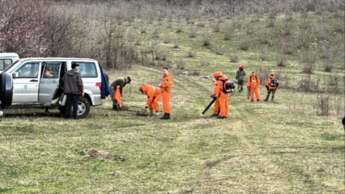    Фото: пресс-служба администрации Сочи