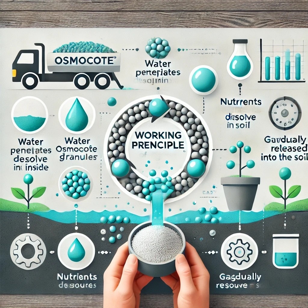 ⛳ ЭНЦИКЛОПЕДИЯ САДОВОДСТВА