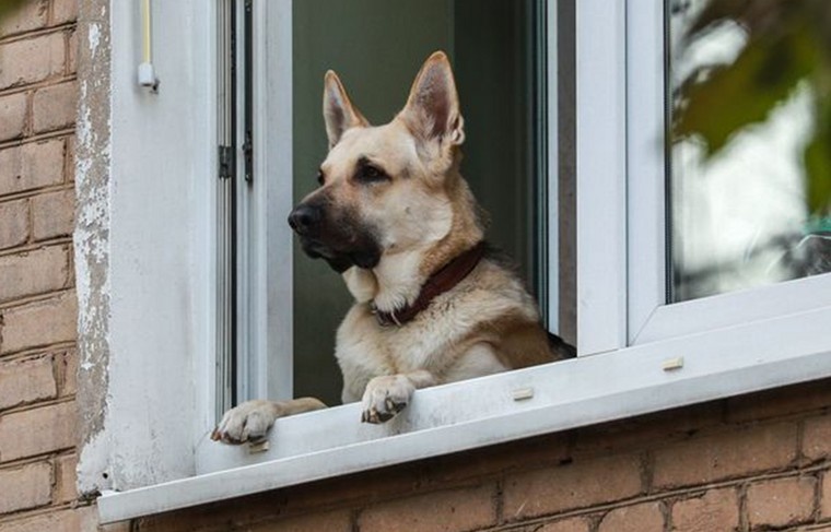    Сергей Булкин/NEWS.ru