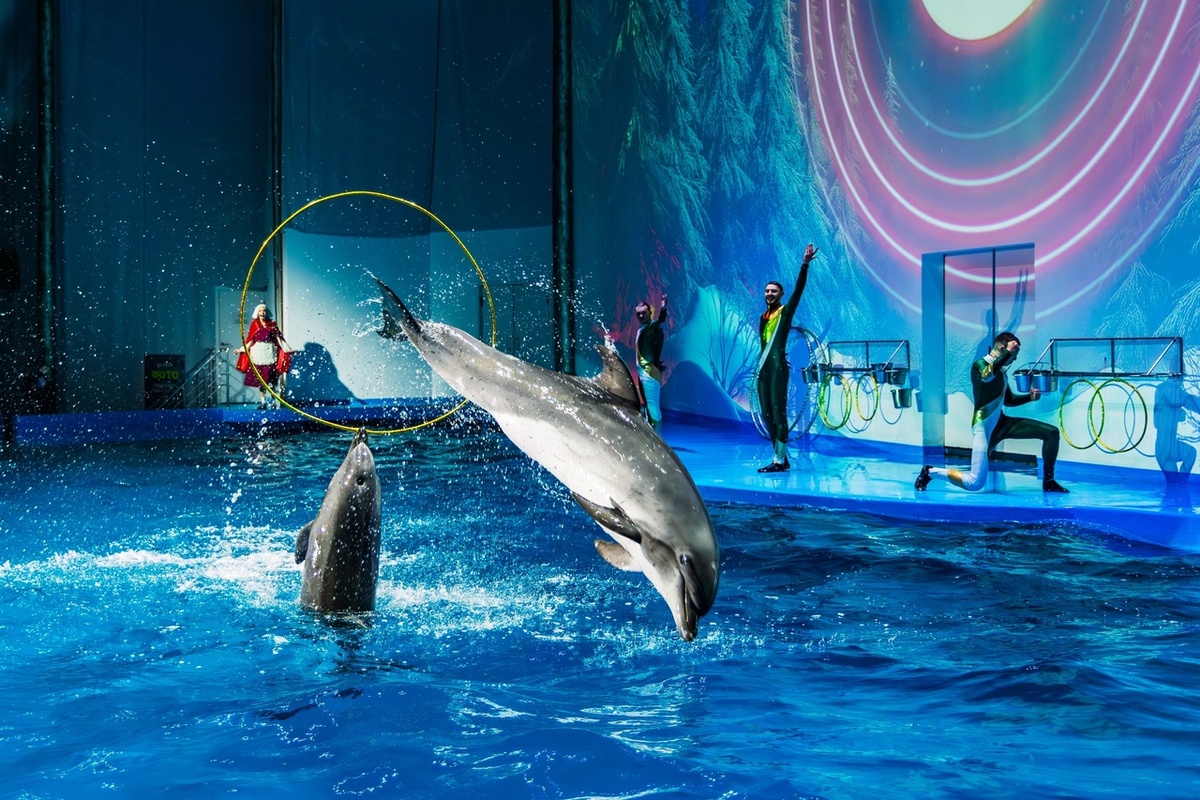 Фото с открытых источников. Океанариум и дельфинарий Екатеринбурга. 