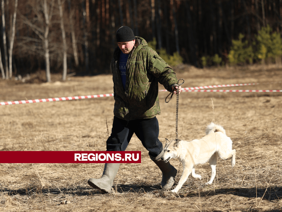     Фото: REGIONS/Ольга Пятикрестовская