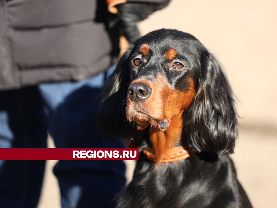     Фото: REGIONS/Ольга Пятикрестовская