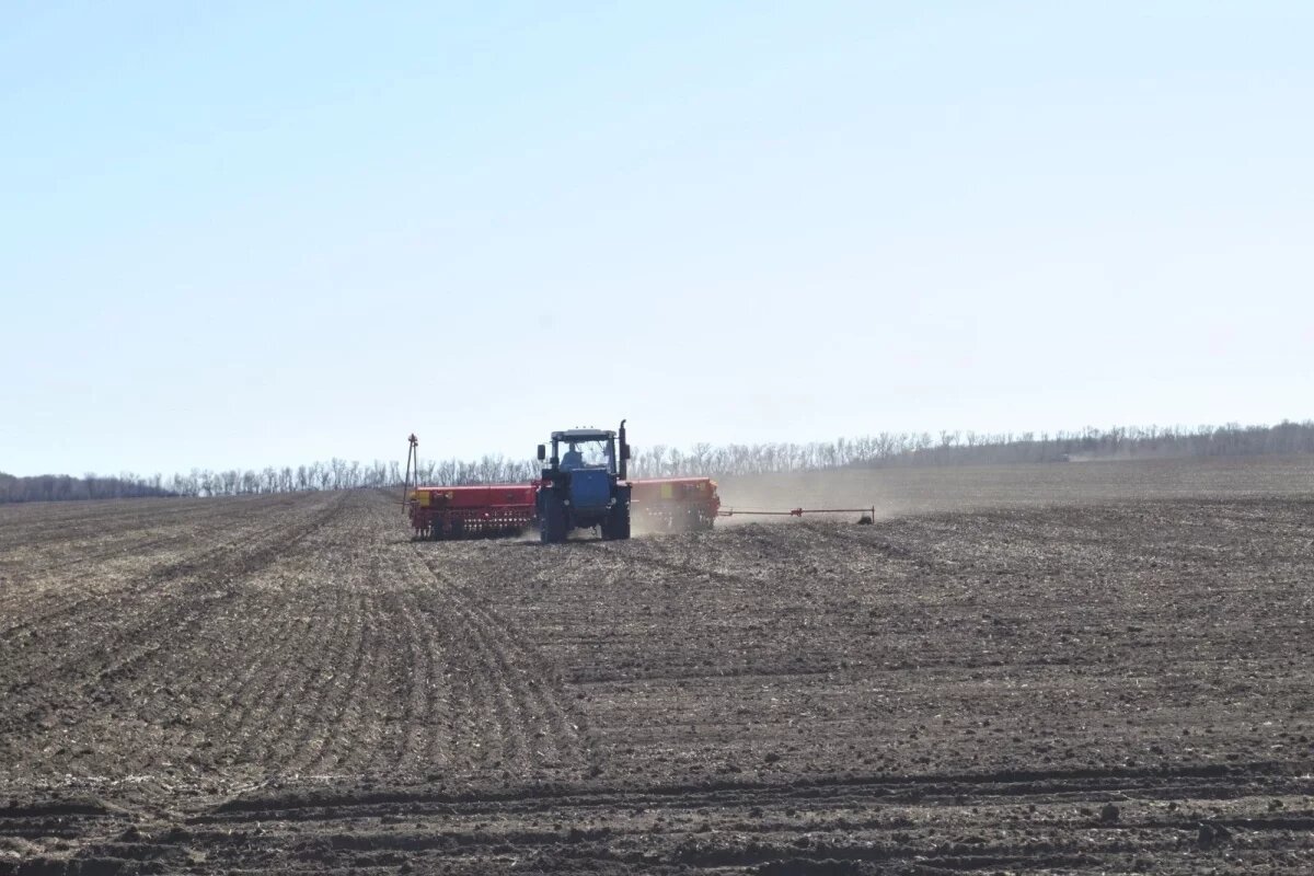    Юрий Слюсарь сообщил, что на Дону стартовала весенняя посевная