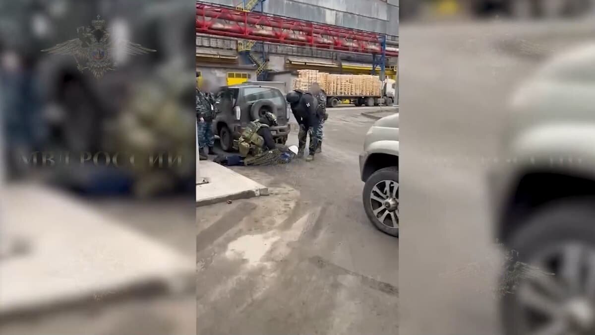    Скриншот видео t.me/IrinaVolk_MVD