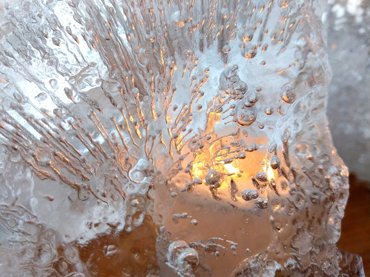 Фото Петра Солдатова. 