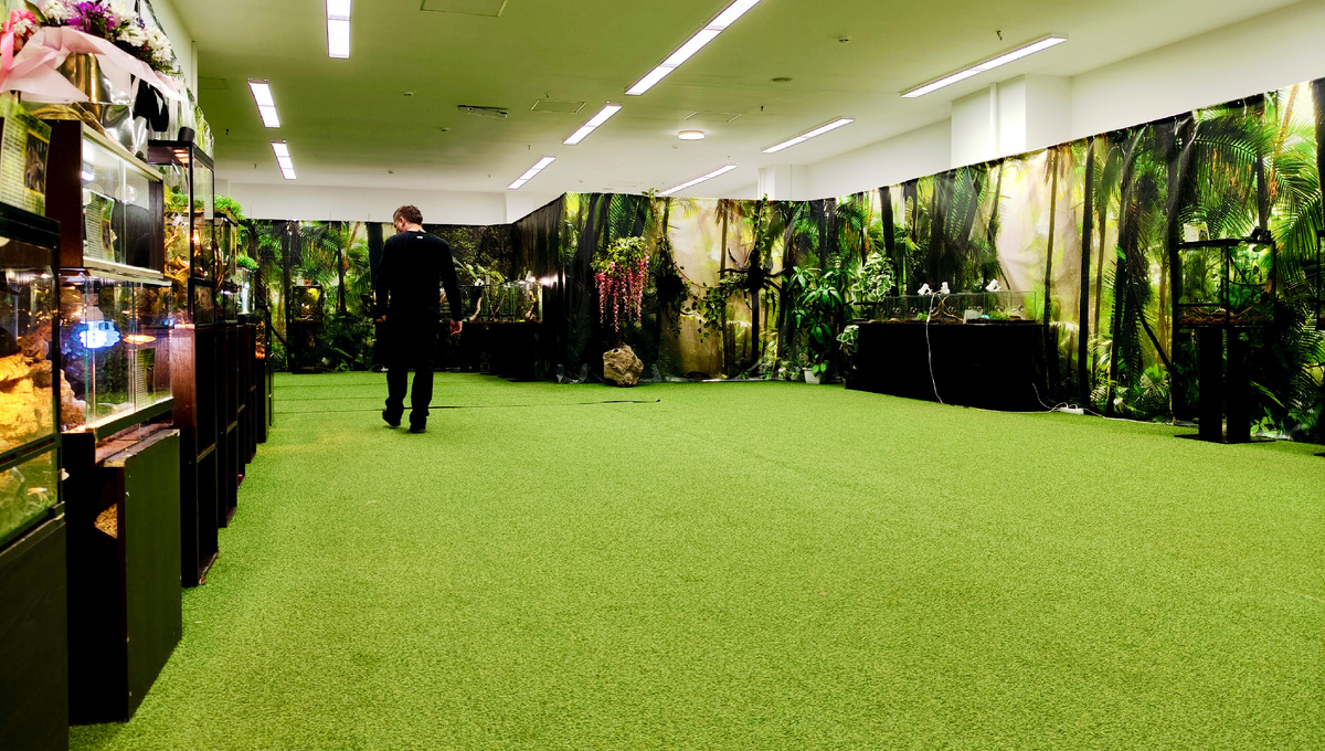 Атмосферно и зелено)