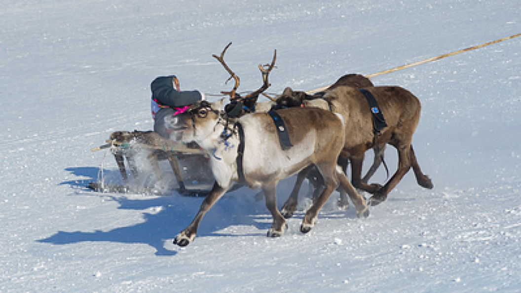    Dmitry Chasovitin/Globallookpress