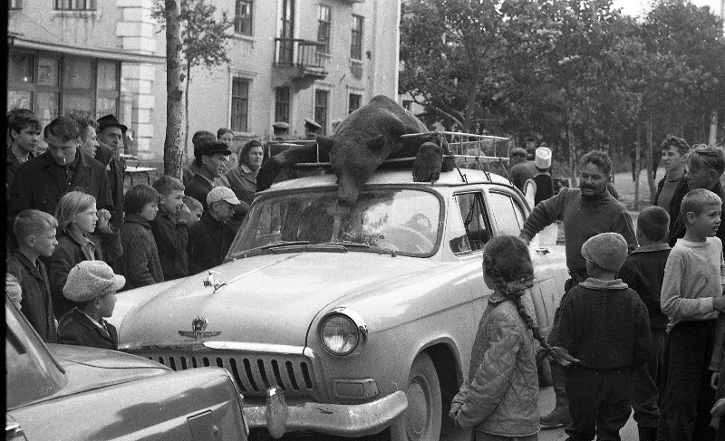 Возвращение с охоты. Юрий Садовников, 1960 - 1965 год, о. Сахалин, г. Южно-Сахалинск, МАММ/МДФ.

