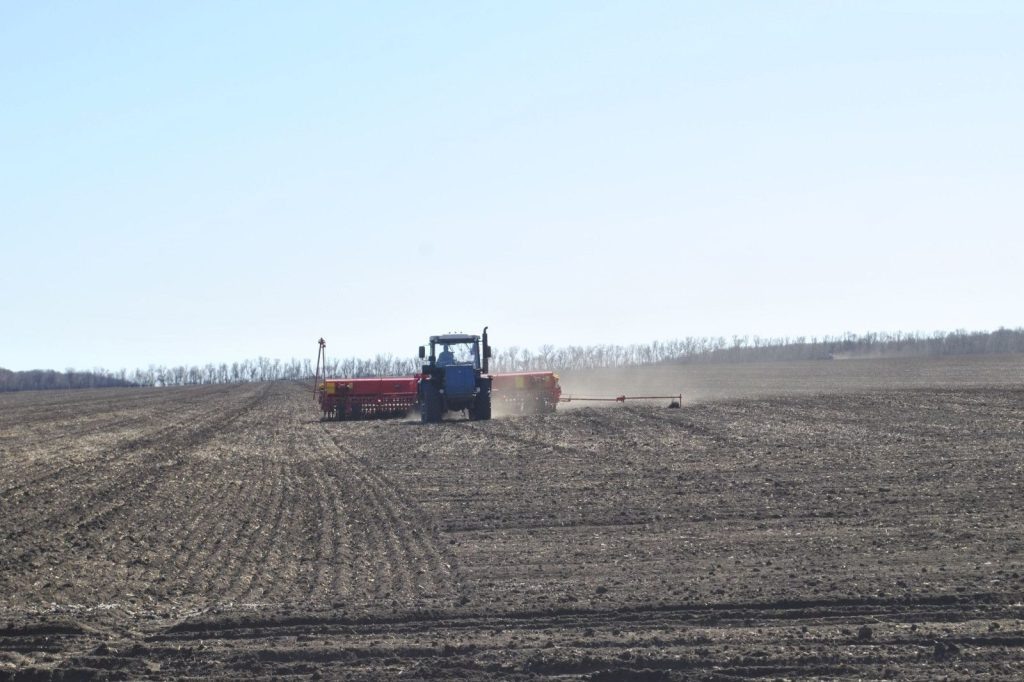    Фото правительства Ростовской области Диана Огнева