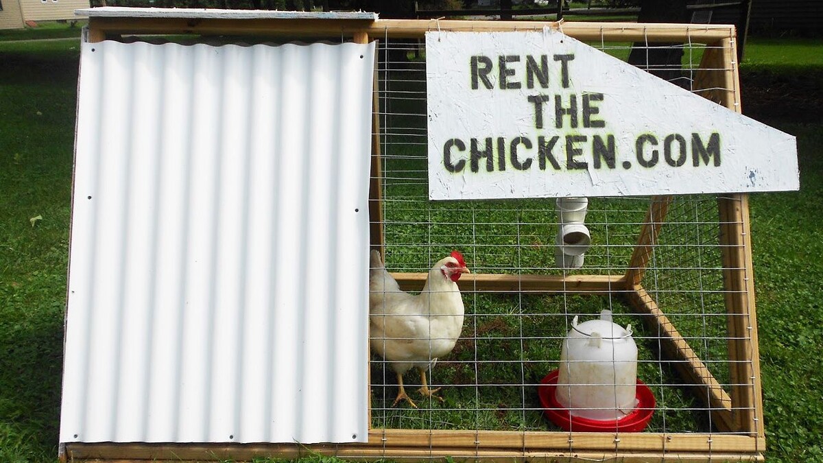 Rent The Chicken