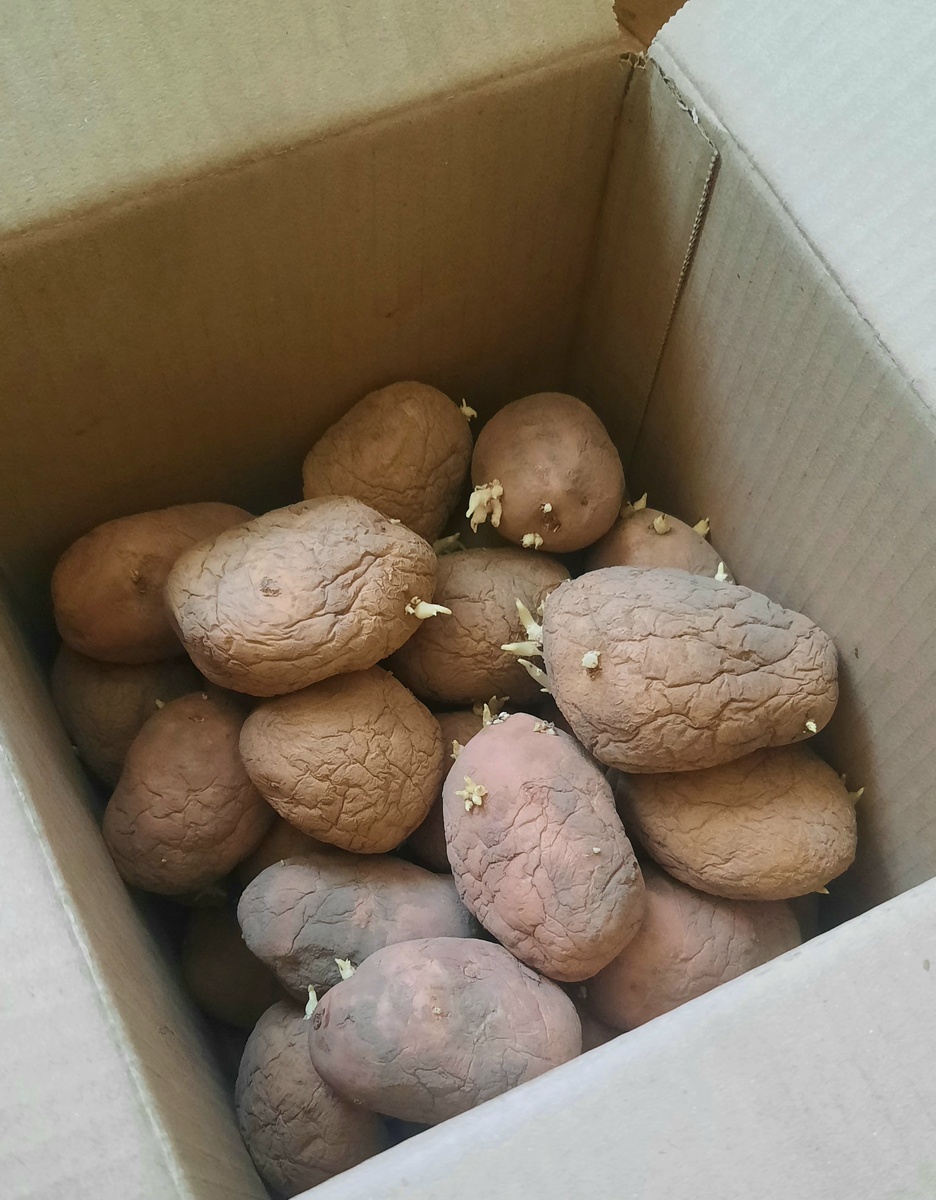 Фото автора. 16.03.25г.  