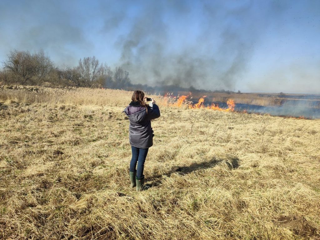 Фото Россельхознадзор 