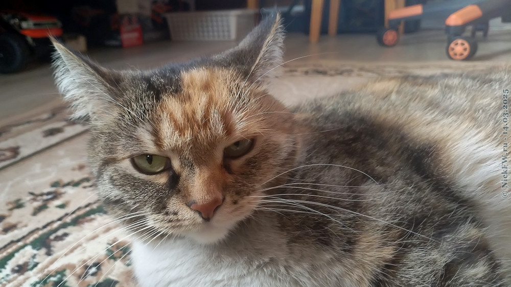 1. Маруська... © NickFW.ru — 14.03.2025г.