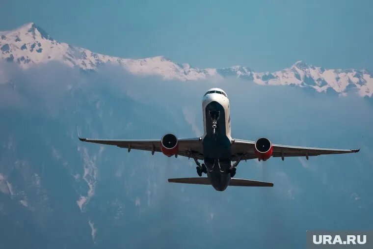 Николас Кейдж купил осьминога за 13,4 млн рублей, столько же стоит трешка в Центральном районе Челябинска. Фото: Роман Наумов © URA.RU