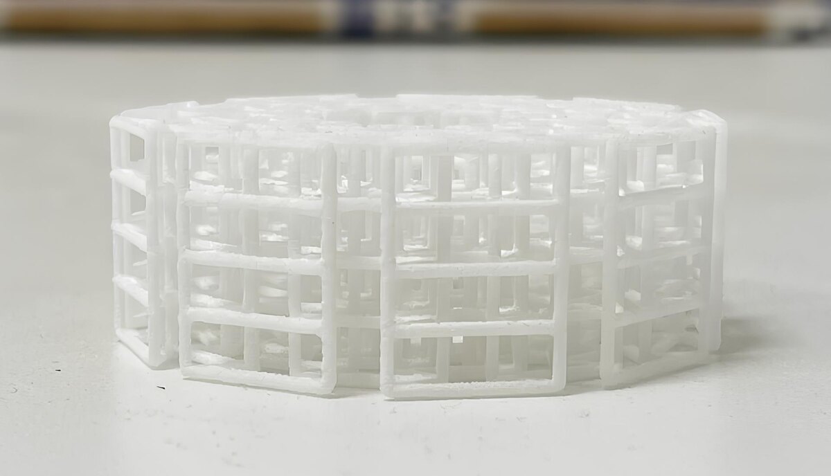    Фото: naked-science.ru Георгий