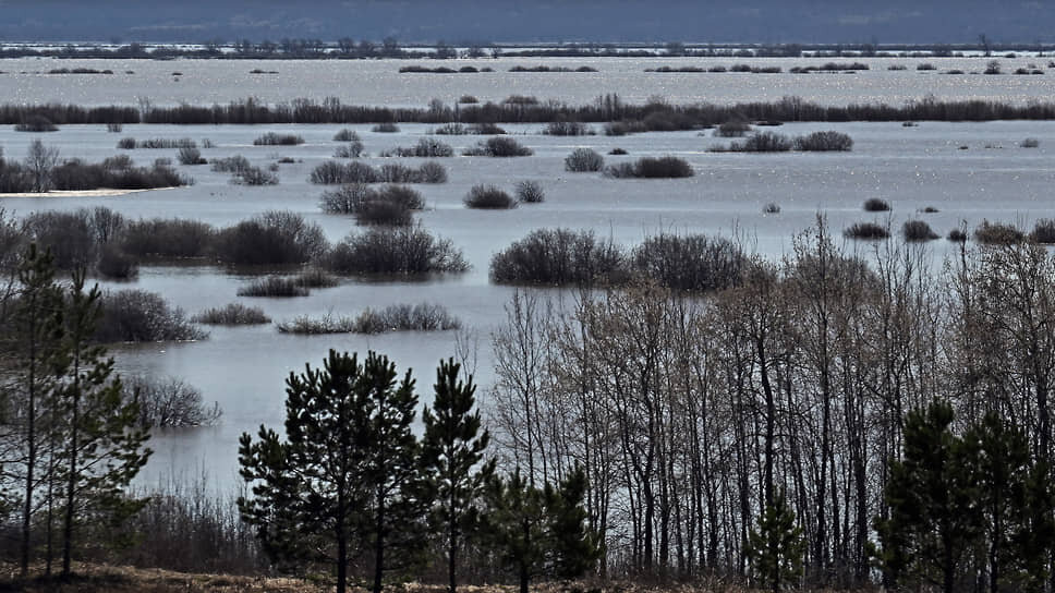 Фото: Александр Миридонов / Коммерсантъ