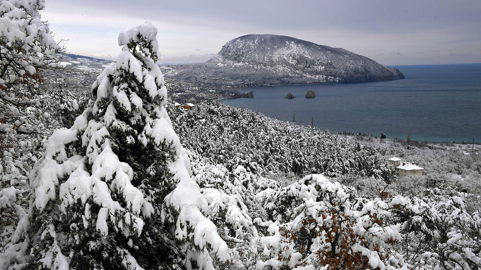 Фото: Виктор Коротаев / Коммерсантъ