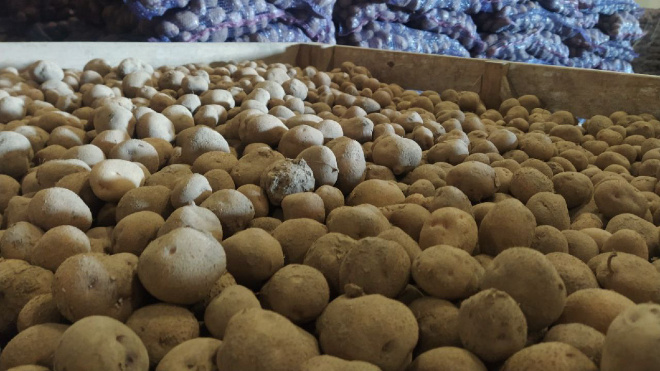 Фото: Администрация Ленинградской области