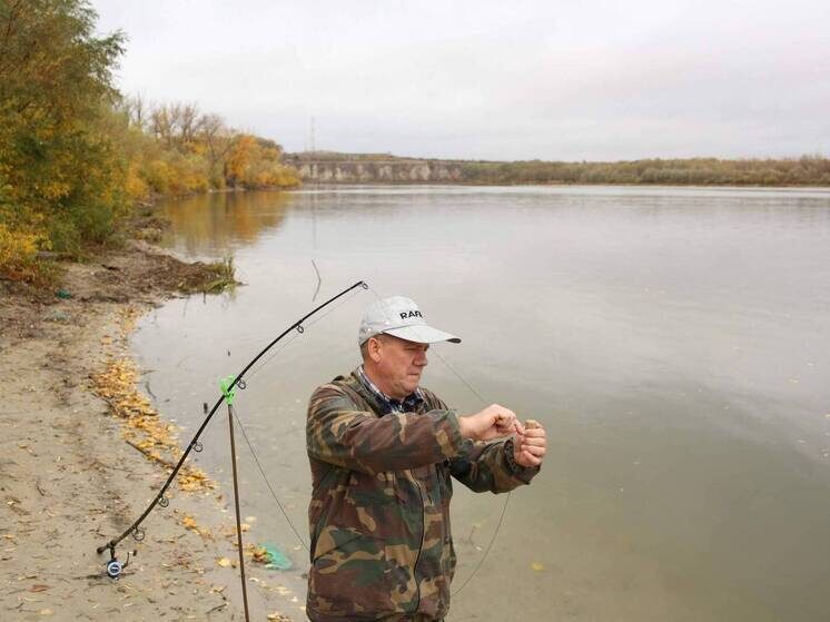 © Фото: ИД «Волгоградская правда» / архив
