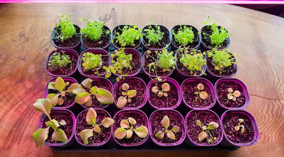 Фото здесь и далее ShutterStock/Fotodom.ru