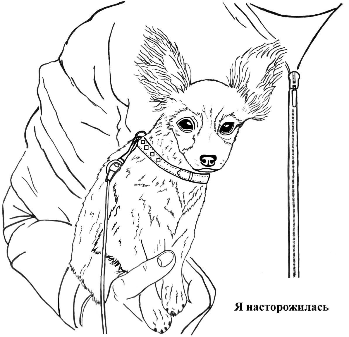 Рисунок автора