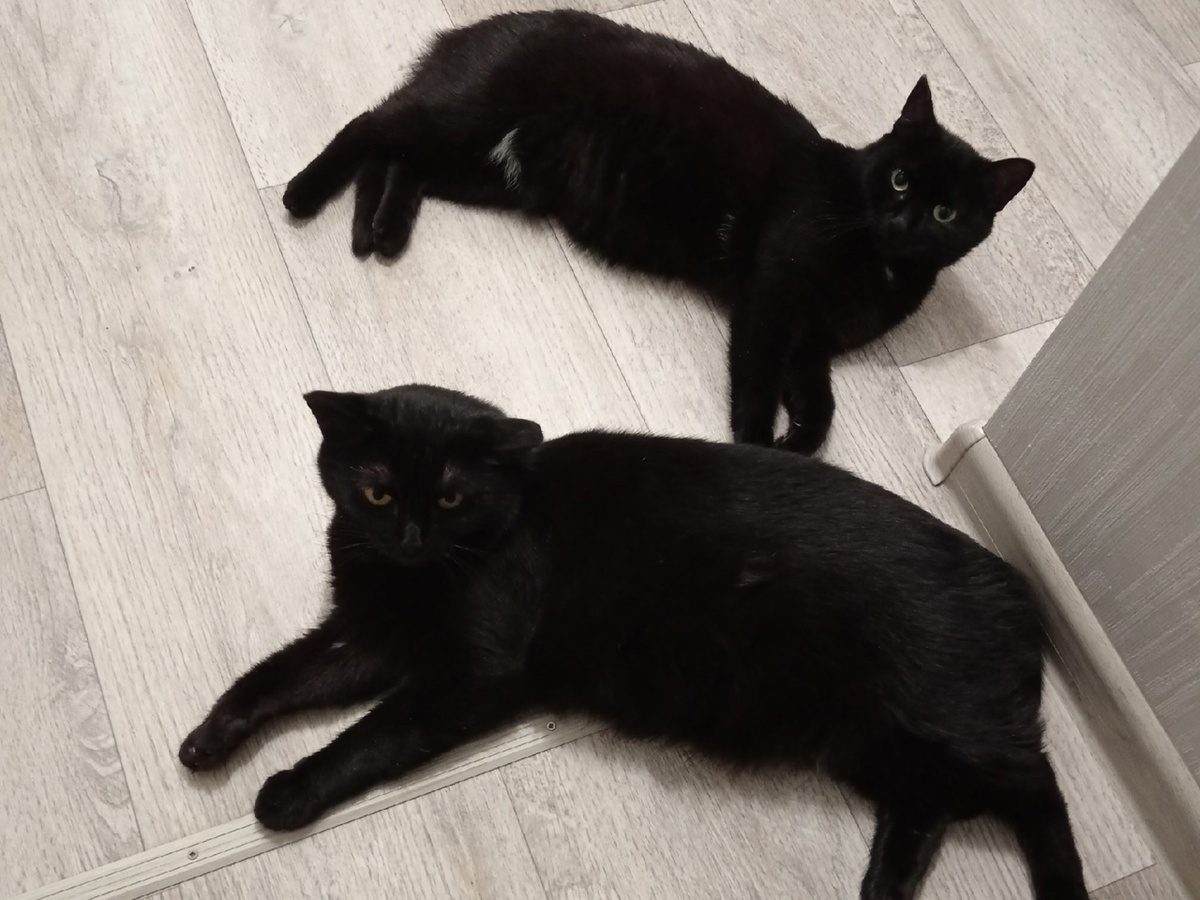 Две печальные судьбы соединились в одну счастливую