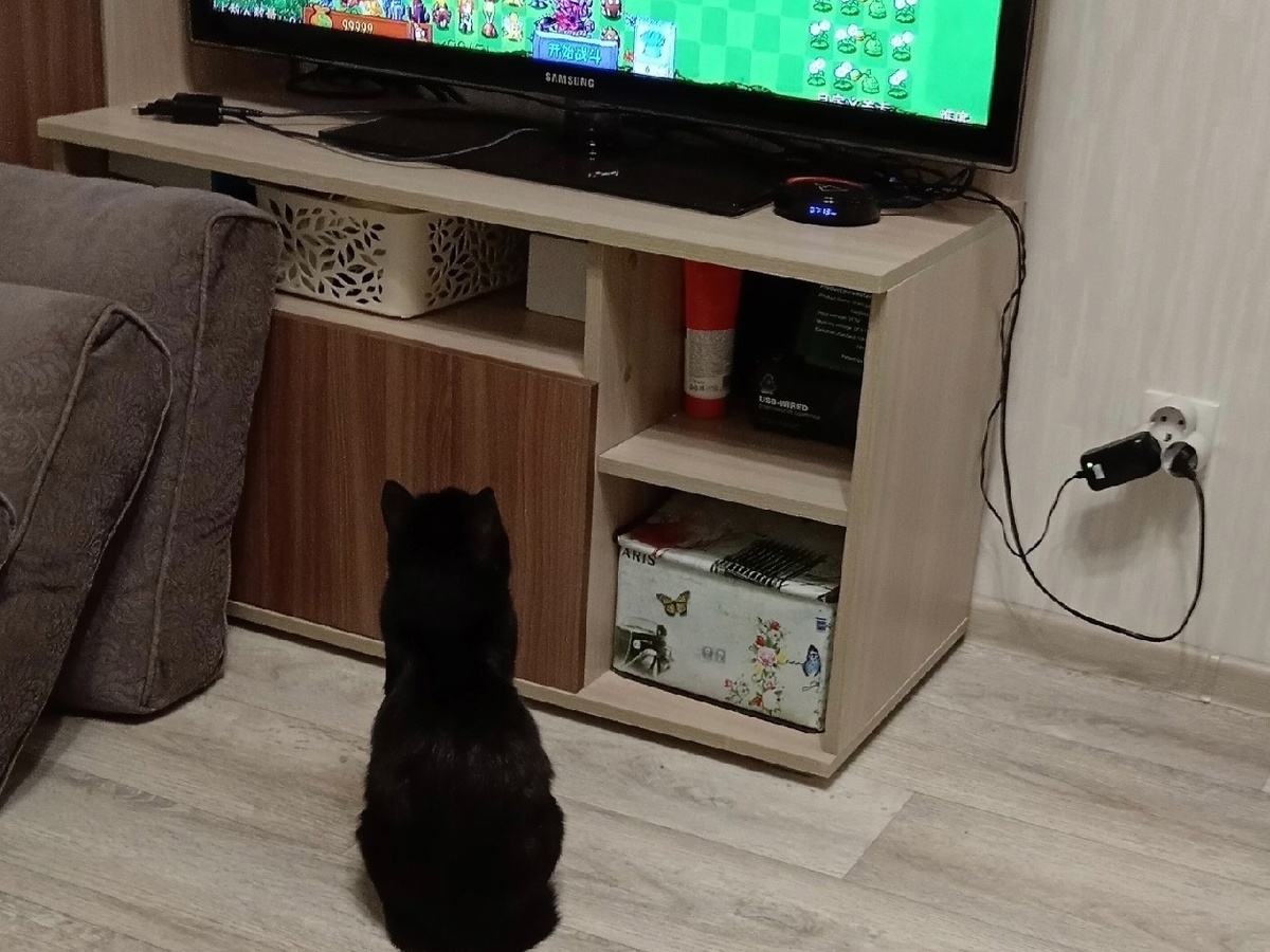 Баги оказалась на редкость любознательной