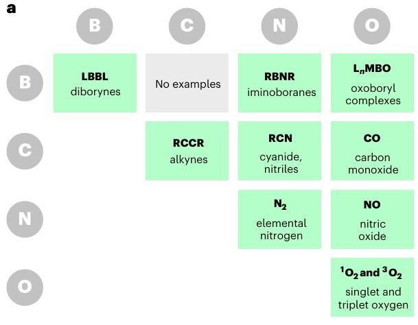   M. Michel et al. / Nature Synthesis, 2025
